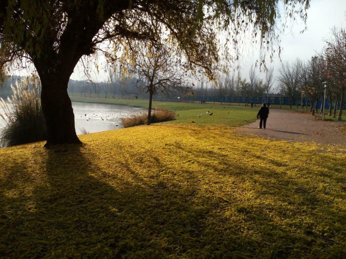 La Laguna Apartment Laguna de Duero Bagian luar foto