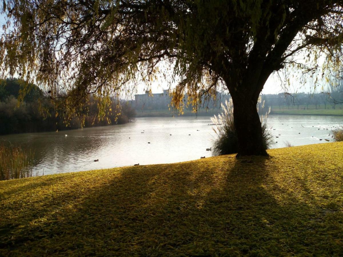 La Laguna Apartment Laguna de Duero Bagian luar foto